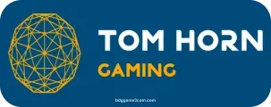 Tom Horn - Gaming Solutions Provider